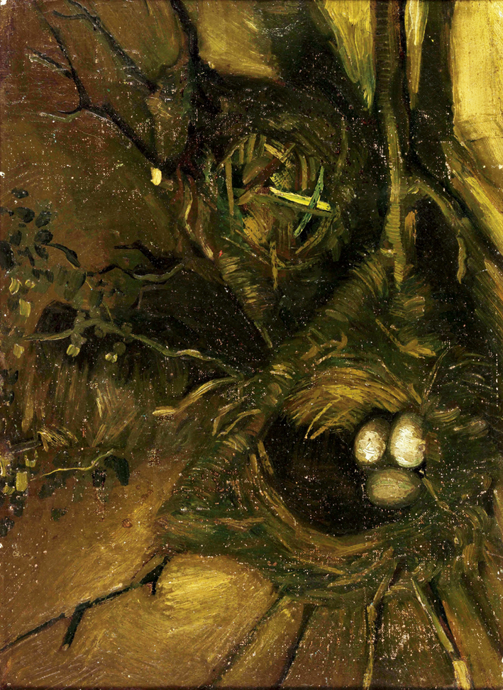  文森特·威廉·梵高  Vincent Willen Van Gogh ——鸟巢 (2)